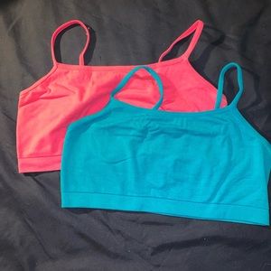 Pink and Blue Bralette